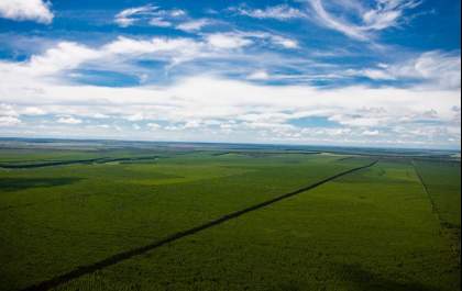 Suzano abre cinco vagas para Três Lagoas e Água Clara