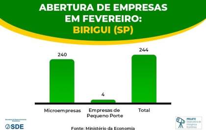 MEIs representam 82% das empresas abertas em fevereiro em Birigui
