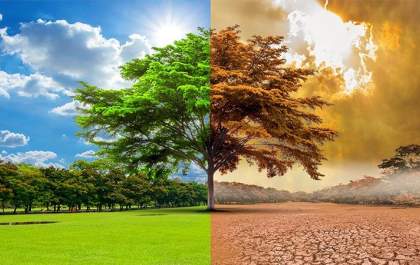 O etanol do Brasil na luta contra mudanças climáticas