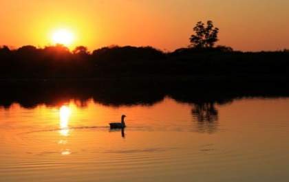 Temperaturas voltam a subir e fim de semana pode ter máxima de 39°C no Estado