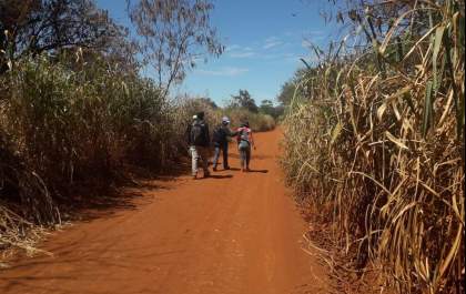 Três adolescentes são apreendidas por suspeita de assassinarem mulher de 55 anos em aldeia indígena