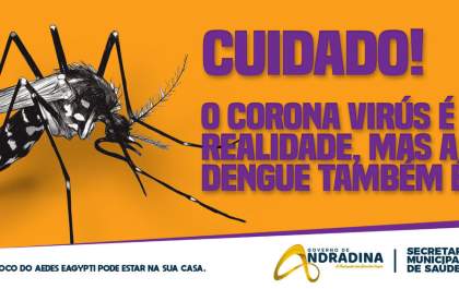 Saúde vai intensificar ações contra a Dengue