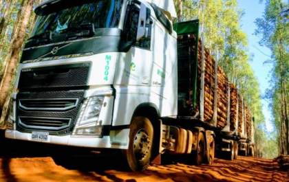 Eldorado Brasil contrata 90 motoristas e anuncia novas vagas