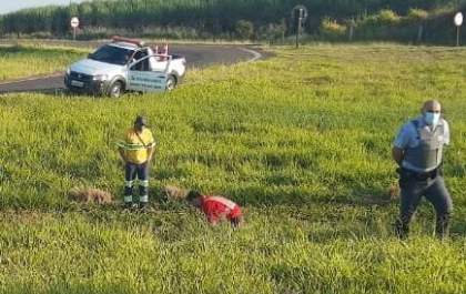 Motociclista é encontrado morto na Rondon