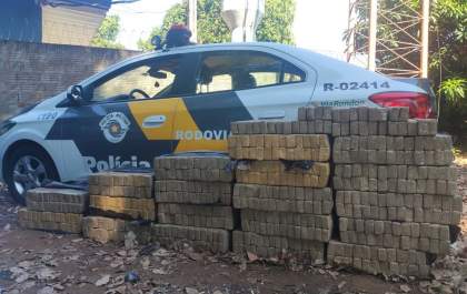 Policia apreende quase 500 kg de maconha em rodovia