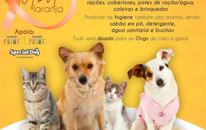 Hospital veterinário promove campanha para arrecadar ração, cobertores e outros itens para ONGs de Araçatuba