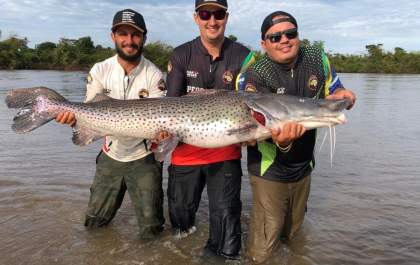 E nem é história de pescador, peixe de 1,70 metro e mais de 50 Kg é pescado em rio de MS