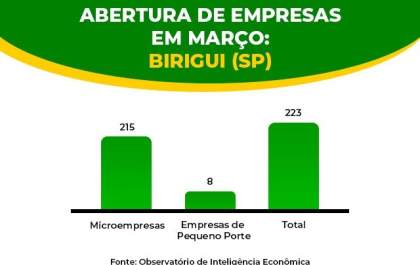 Birigui tem 223 novas empresas em março; 96,4% do total são microempresas