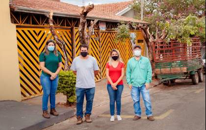 Quem remover ou praticar poda radical em árvores pode ser multado