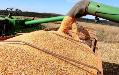 Mato Grosso do Sul colhe 13 milhões de toneladas de soja e bate recorde de produção