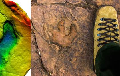 Estudo confirma presença de dinossauros em Mato Grosso do Sul