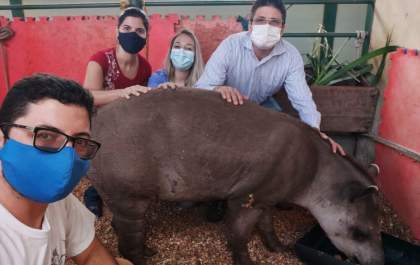 Animal silvestre ferido está sendo cuidado no Hospital Veterinário da FEA