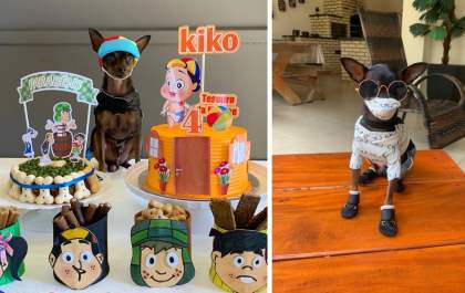 Pinscher blogueiro ganha festa temática da Turma do Chaves