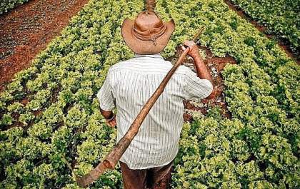 Sebrae, Senar e Sindicatos Rurais discutem ações do agronegócio