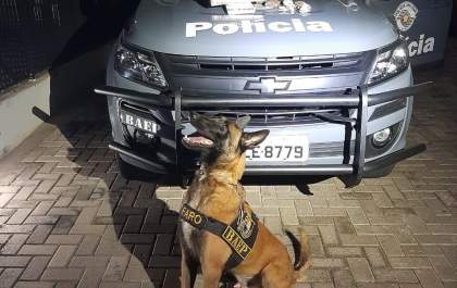 Baep apreende 6 tijolos de maconha, prende jovem e apreende adolescente