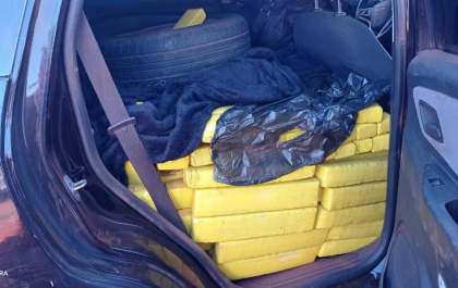 Operação Hórus da Polícia Militar apreende mais de 700 quilos de drogas