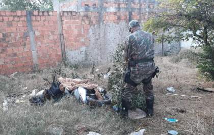 PMA de Três Lagoas recupera moto furtada antes que a proprietária percebesse o furto