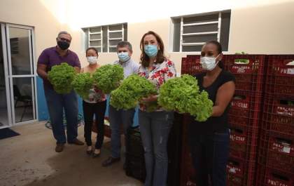 Associação e produtores doam hortaliças ao Fundo Social de Solidariedade