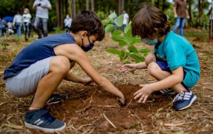 Meio Ambiente fará plantios de mudas na Semana e no Dia Mundial do Meio Ambiente