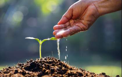 Águas Andradina e Águas Castilho comemoram Dia Mundial do Meio Ambiente com plantio de mudas e mobilização sobre sustentabilidade