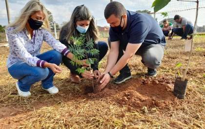 Águas Andradina e Secretaria do Meio Ambiente realizam plantio de mudas no Jardim Europa