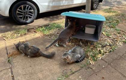 Comedeuros comunitários estão sendo alvos de furto em Três Lagoas