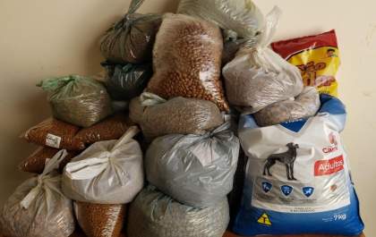 Campanha arrecada 85 kg ração para animais em situação de rua