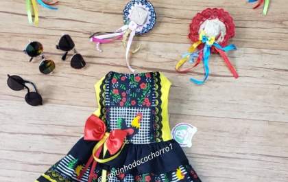 Festa junina e os pets nunca combinaram tanto