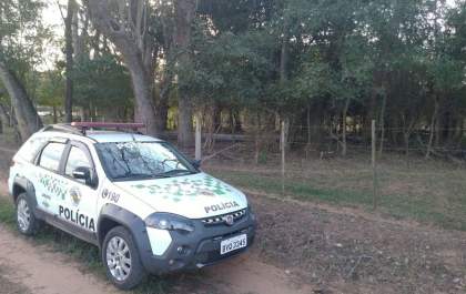Homem é multado em Birigui por praticar ato sexual com cadela na rua