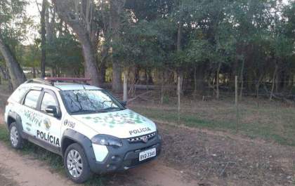 Homem é multado em Birigui por praticar ato sexual com cadela prenha
