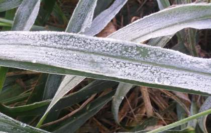Araçatuba registra mínima de 2,9ºC