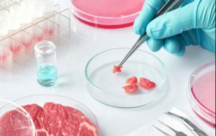 Clean meat: a carne cultivada em laboratório