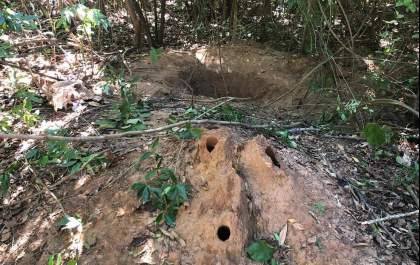 Mãe que matou a filha em Brasilândia vai a júri popular