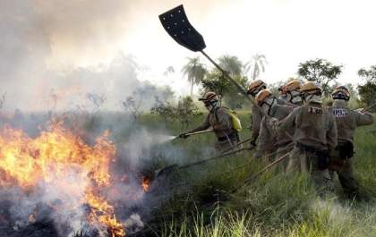 Estiagem e Incêndios: Governo decreta situação de emergência em todo o estado de MS
