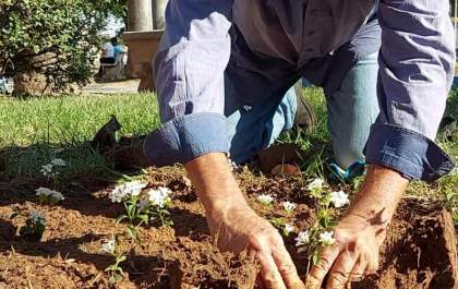 Guararapes inicia plantio de flores em praças e rotatórias