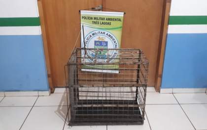 Polícia Militar Ambiental de Três Lagoas apreende armadilha de caça no Parque Natural das Capivaras