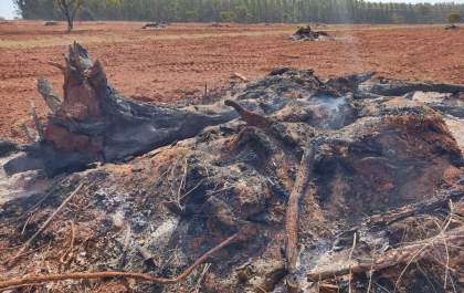 PMA de Bataguassu autua paranaense em R$ 112 mil por incendiar 160 hectares