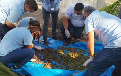 Saúde realiza ações de combate à doença de Chagas