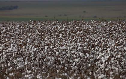 São Paulo lança programa AgroSP+Seguro e anuncia crédito para produtor