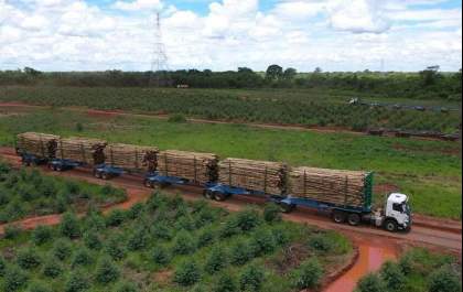 Fueiro ExTe, líder em segurança e maior capacidade de carga no transporte florestal!