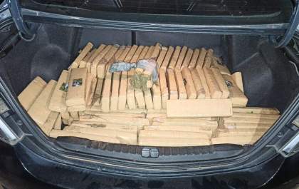 PM tira de circulação mais de 190 kg de maconha