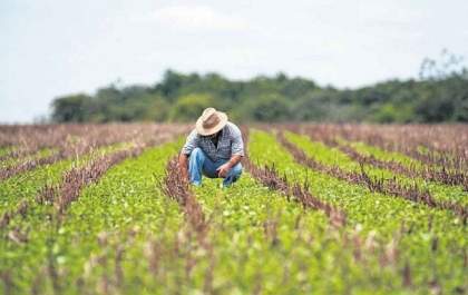 Imposto Territorial Rural 2021: saiba se você precisa declarar&nbsp;