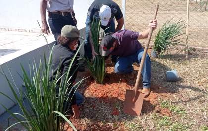 Produtores rurais participam de curso gratuito de jardinagem