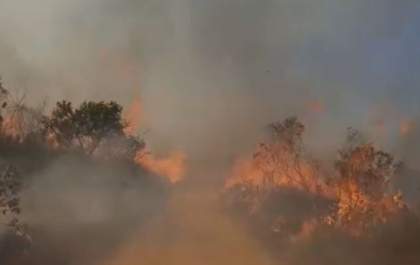 Incêndio em fazenda de Três Lagoas toma grandes proporções