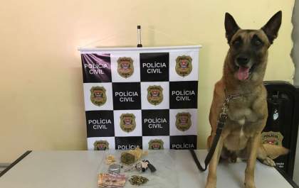 Gestante é presa em Castilho, com arma, drogas e 57 munições