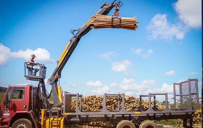 Pesagem assertiva no carregamento florestal é com a balança One Timber!