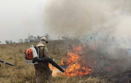 Chegada da chuva no Pantanal elimina os focos de calor; bombeiros monitoram região