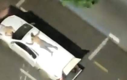 Tiros, explosivos e escudo humano: veja as principais imagens da madrugada de terror em Araçatuba