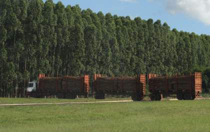 Suzano implanta sistema que detecta sinais de cansaço em motoristas do transporte florestal em MS