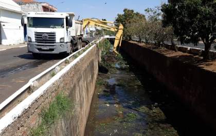 Prefeitura retira 12 toneladas de lixo, folhas e galhos do córrego Machado de Mello